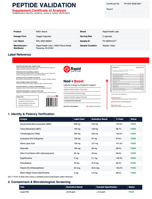 Rapid Health Labs NAD+ Boost – Advanced NMN Formula RapidFulfillment.com